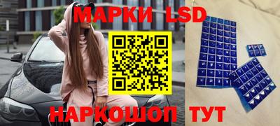 стаф Нальчик