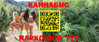 стаф Нальчик